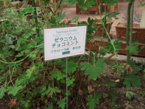 那須高原HERB's