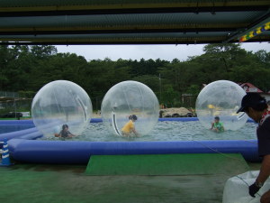 水上ハムスター