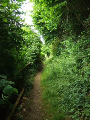 Panoramaruntumweg, Eberbach