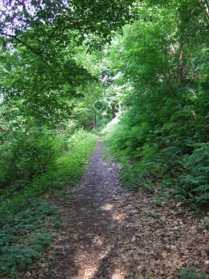 Panoramaruntumweg, Eberbach