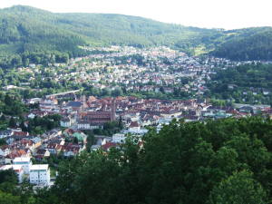 A view from Ohrsbergturm, Eberbach