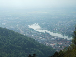 A view from Koenigstuhl