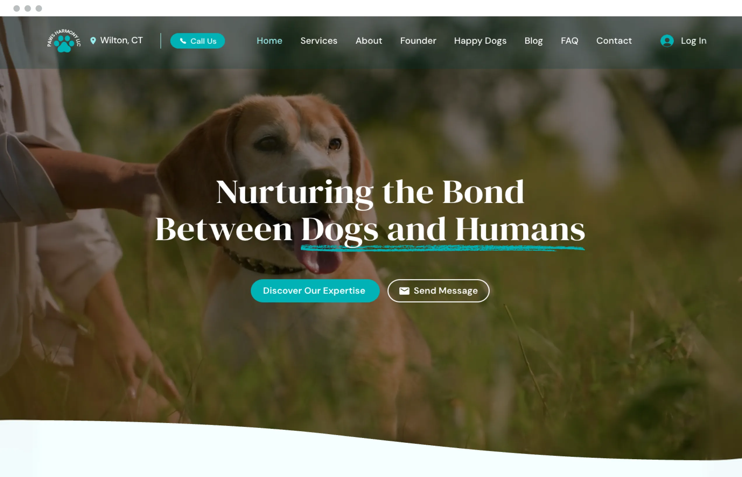 UENI Website Example