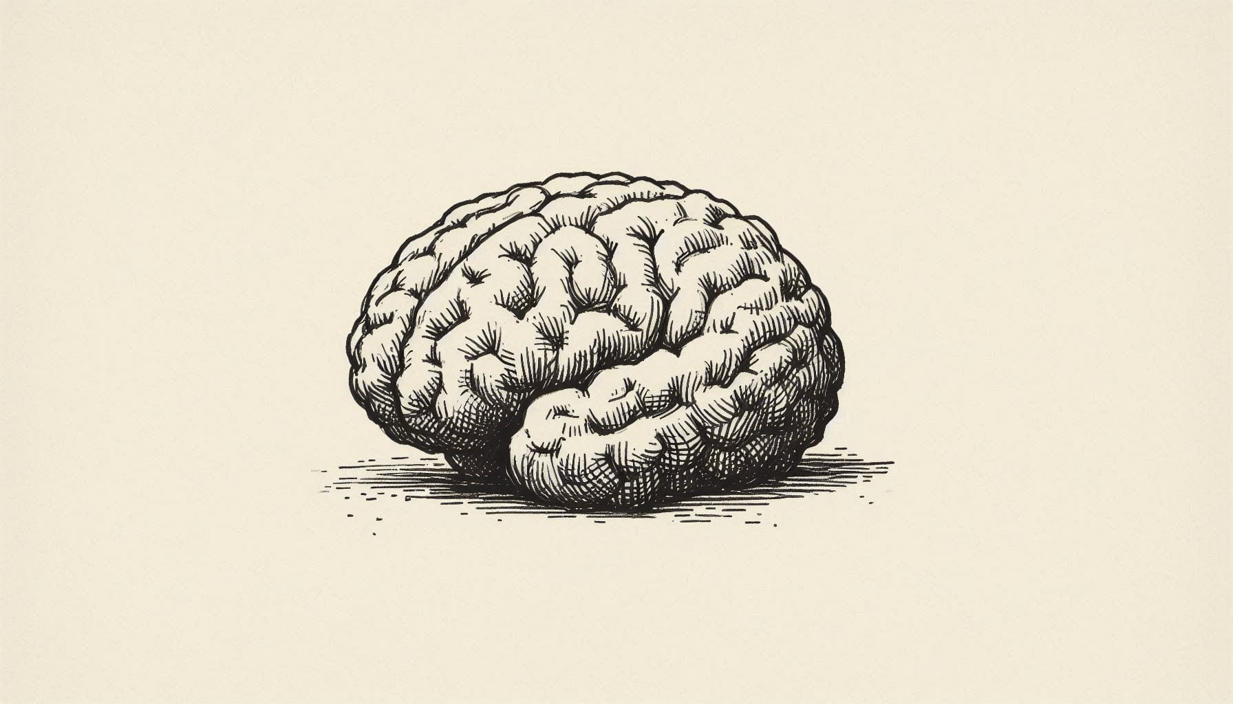 #5 — Information Retrieval / RAG