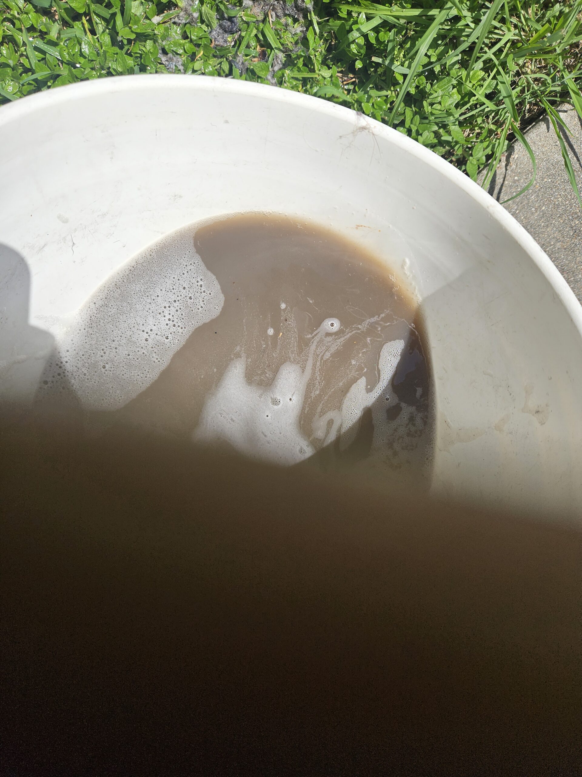 Pressure Wash