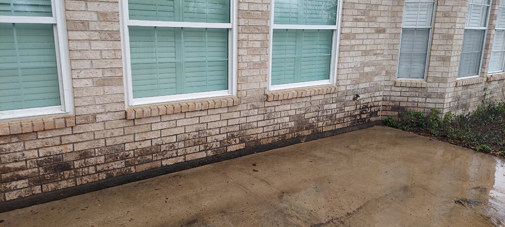 Pressure Wash Before
