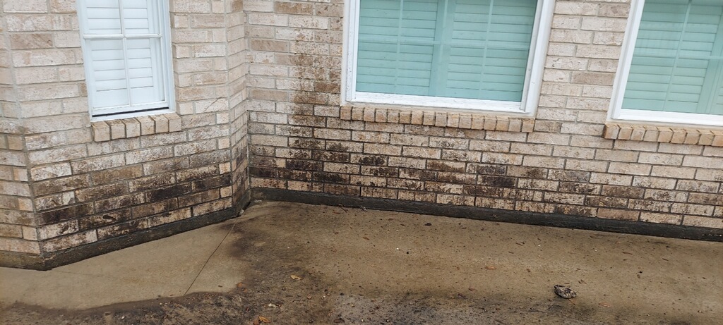 Pressure Wash Before