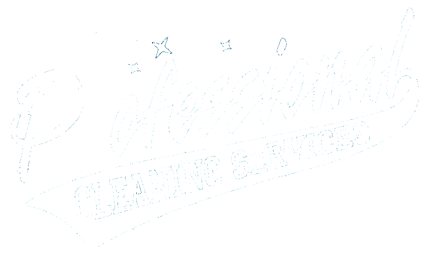 Professional Cleaning Services