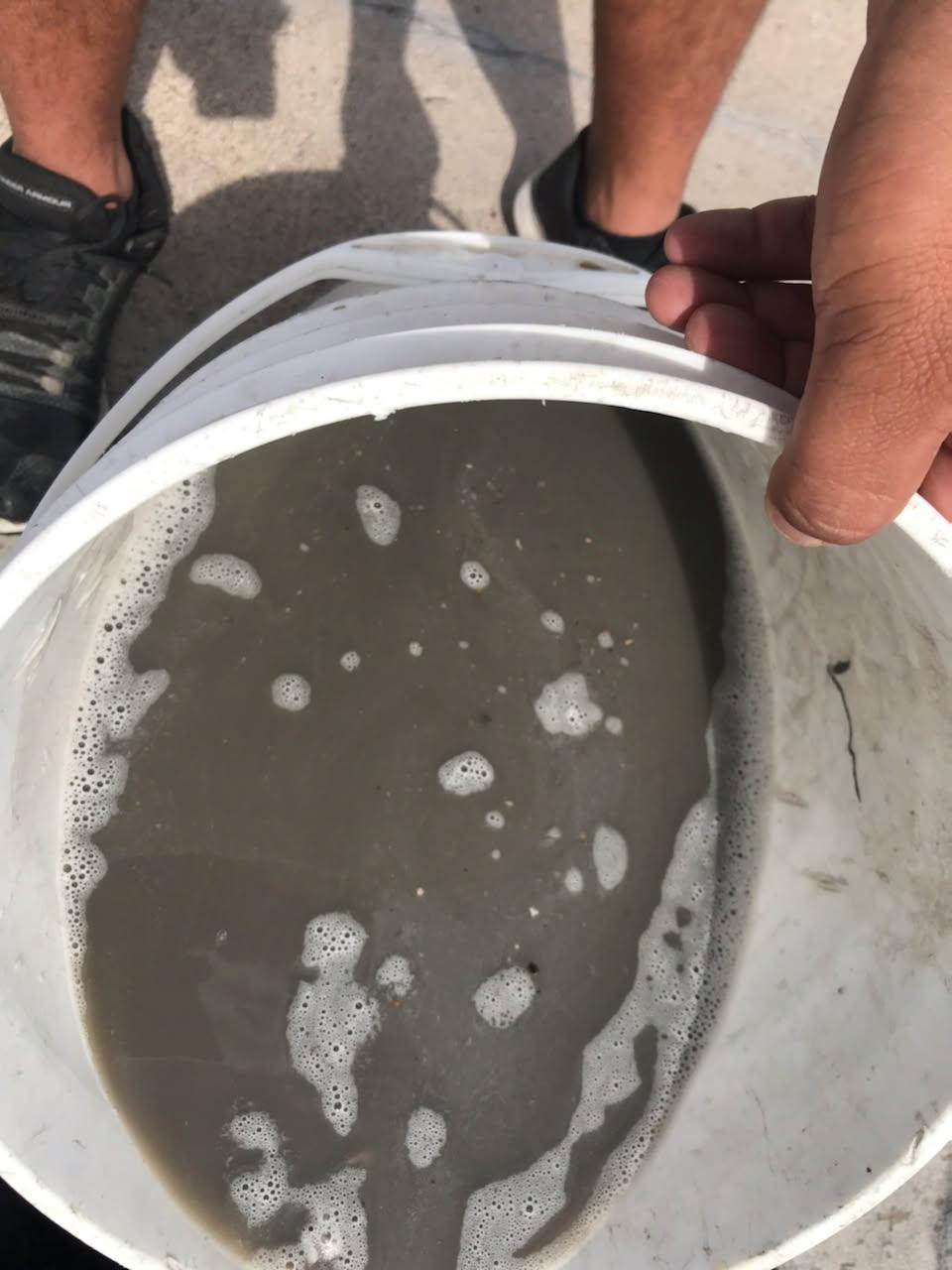 Carpet Cleaning