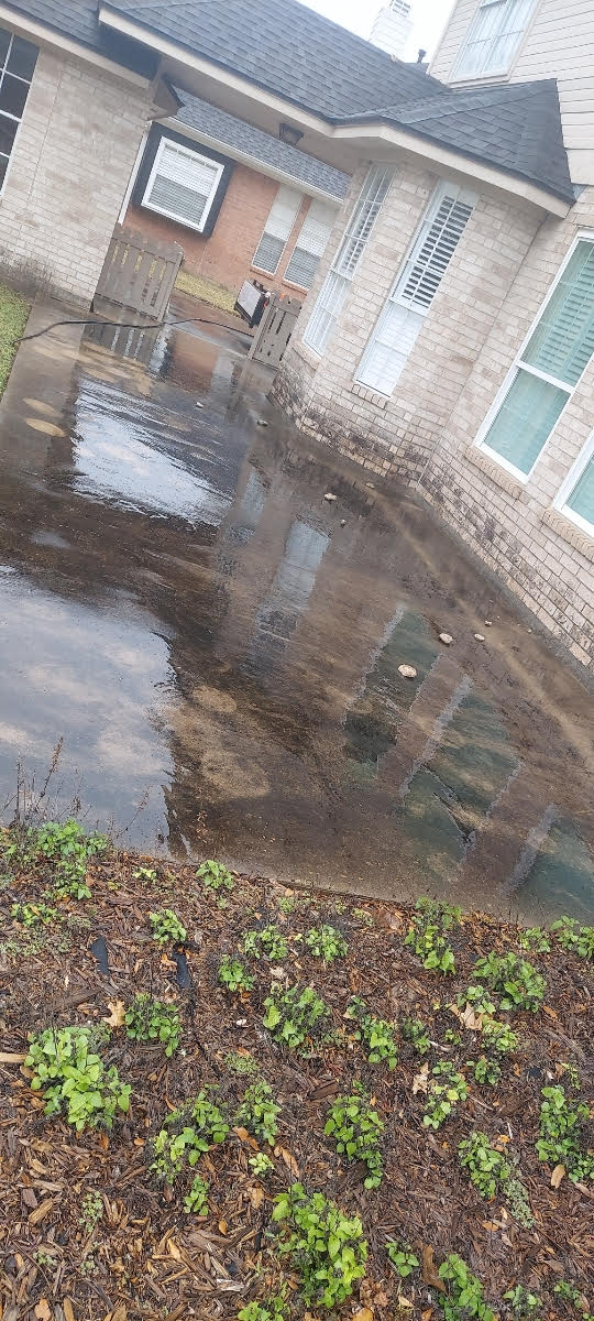Pressure Wash Before