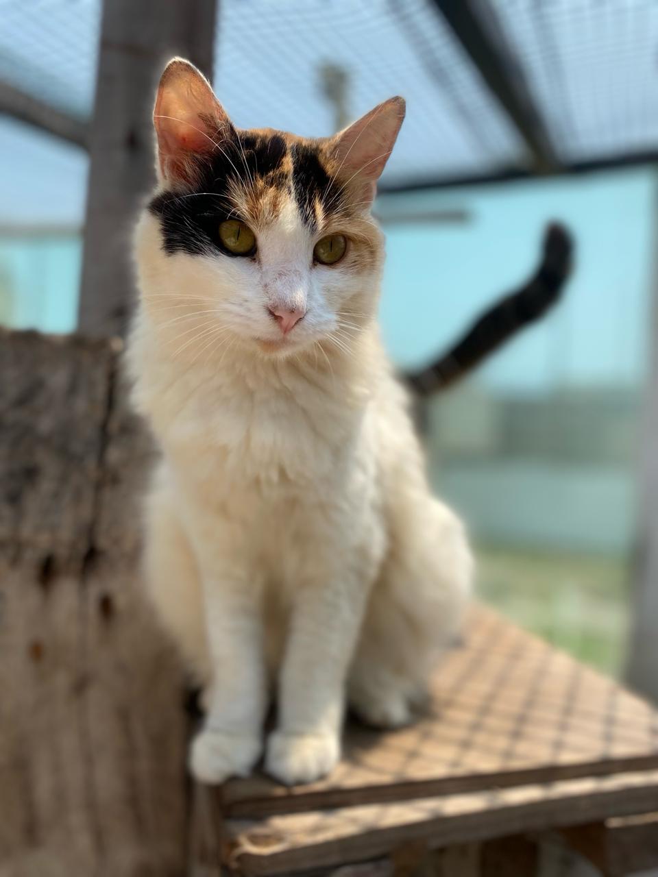 Luna