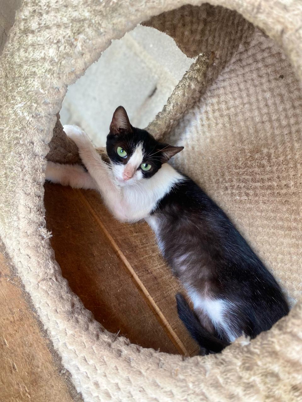 Bella