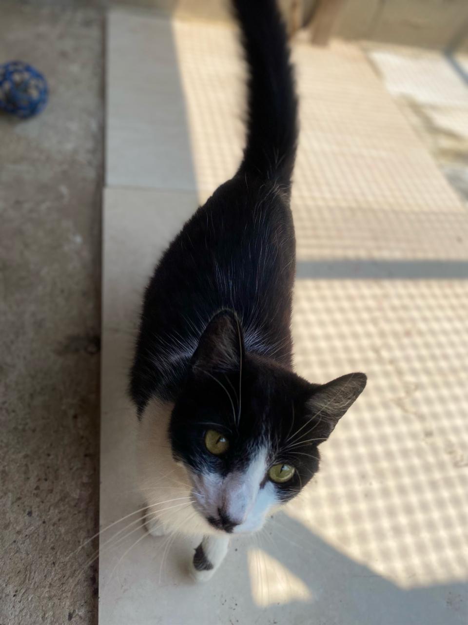 Max