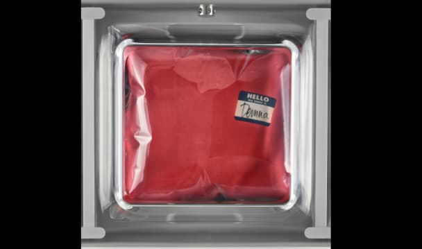 Video Balenciaga - How does a chamber vacuum sealer work?