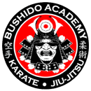 Bushido Mixed Martial Arts