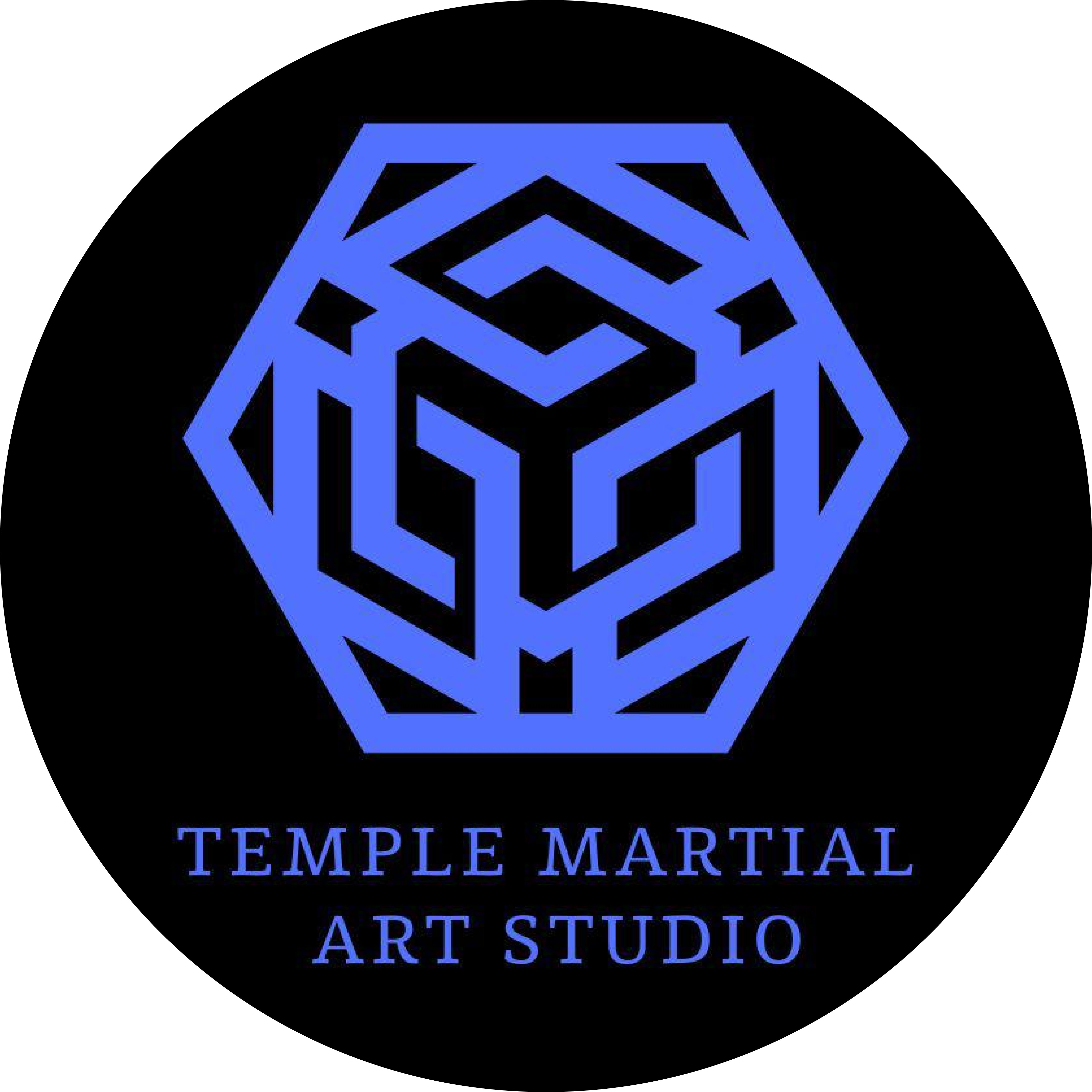 Temple Martial Art Studio