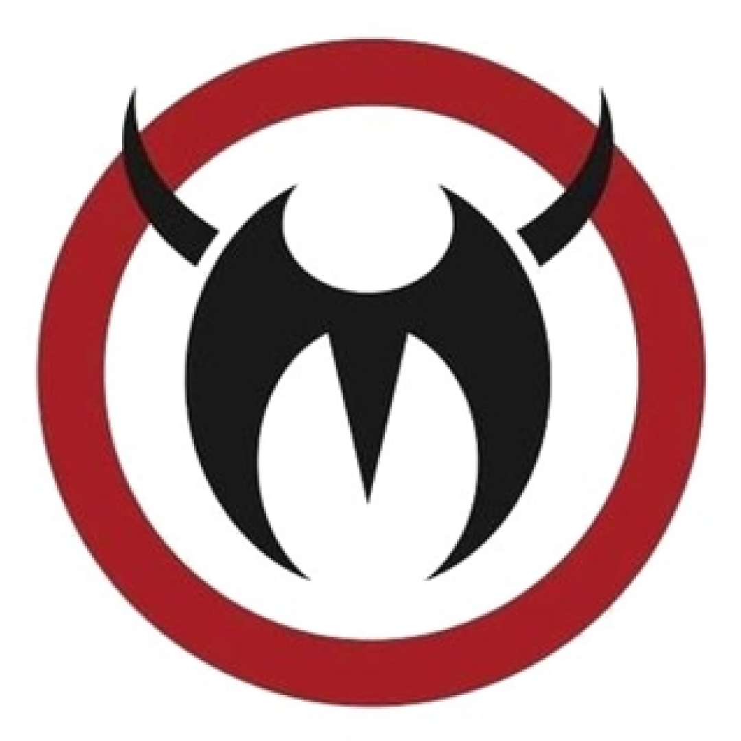 Team Nogueira Dubai