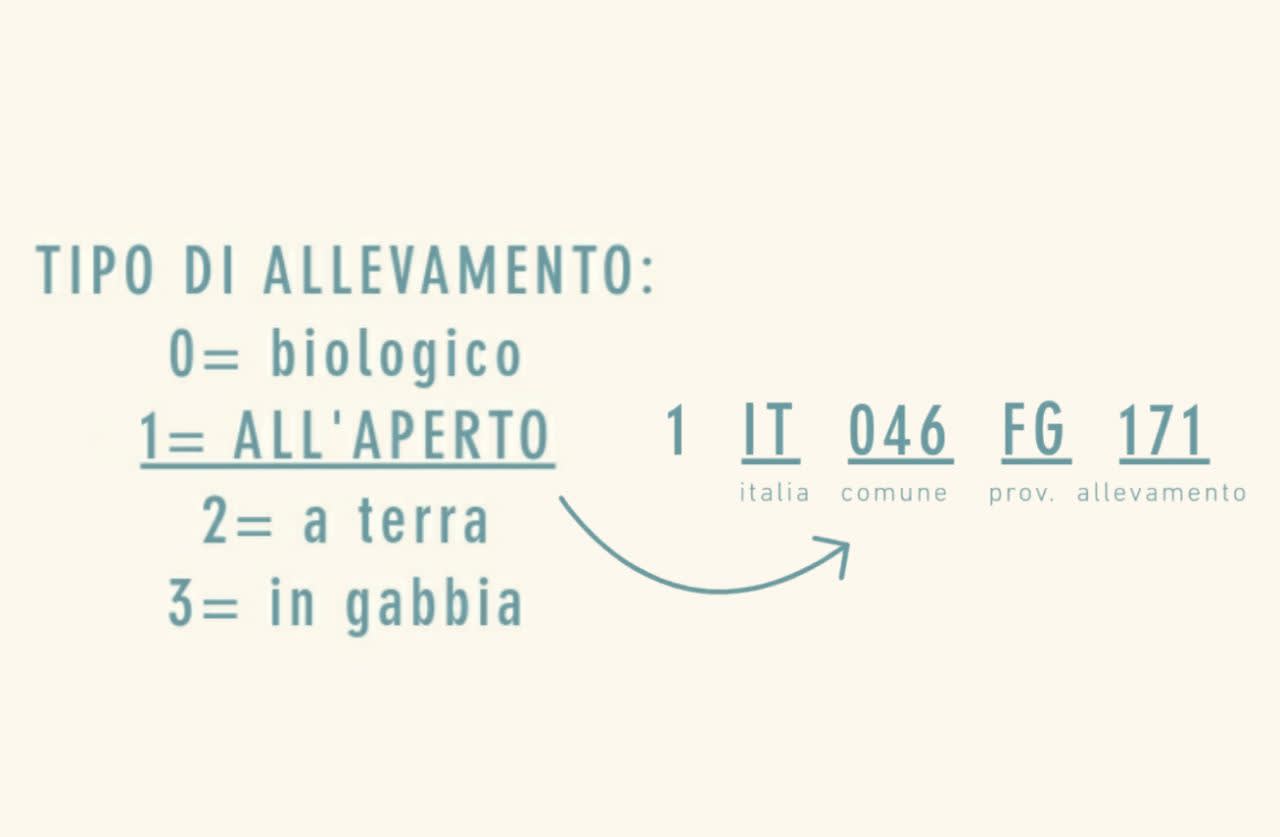 Modello di business Tuorlo Biancofiore