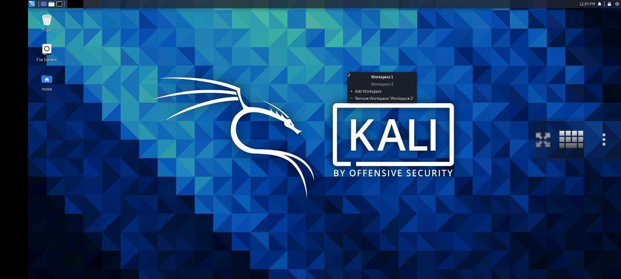 install kali linux in android