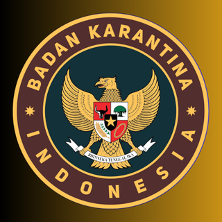 BKI Logo