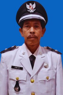 Foto Kepala Desa Wani Lumbumpetigo