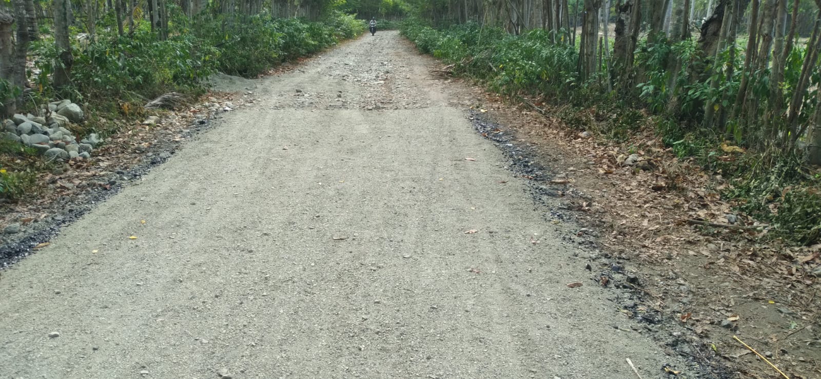 Dokumentasi Pembangunan Jalan Lingkungan 5
