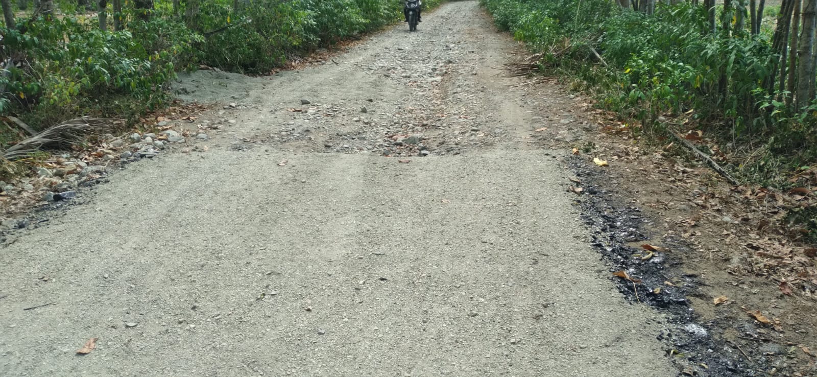 Dokumentasi Pembangunan Jalan Lingkungan 1
