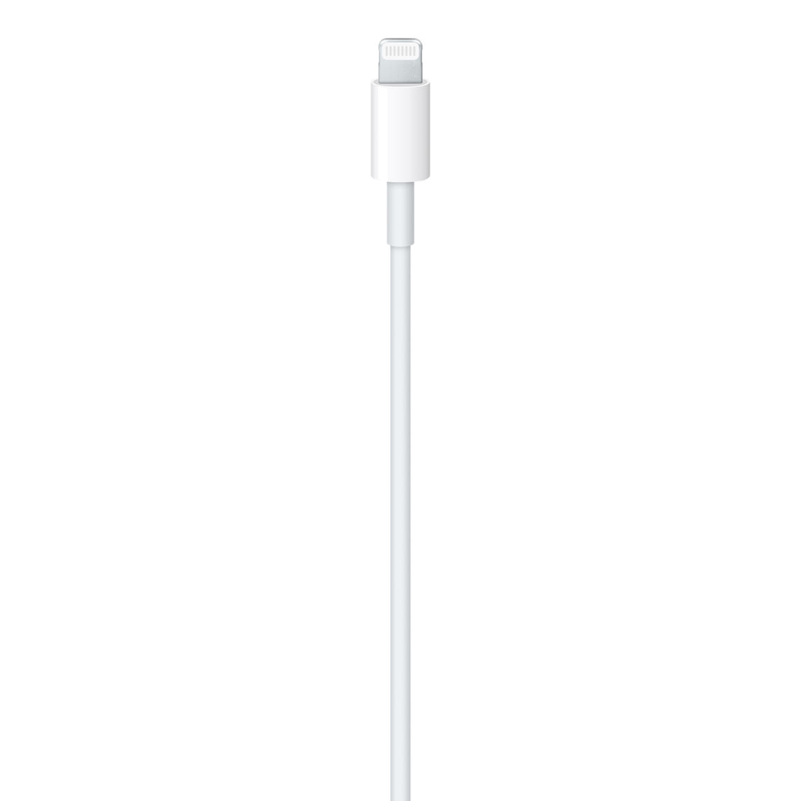 Apple iCharge Classic Cable (2M) (Lightning to USB) - Image 2