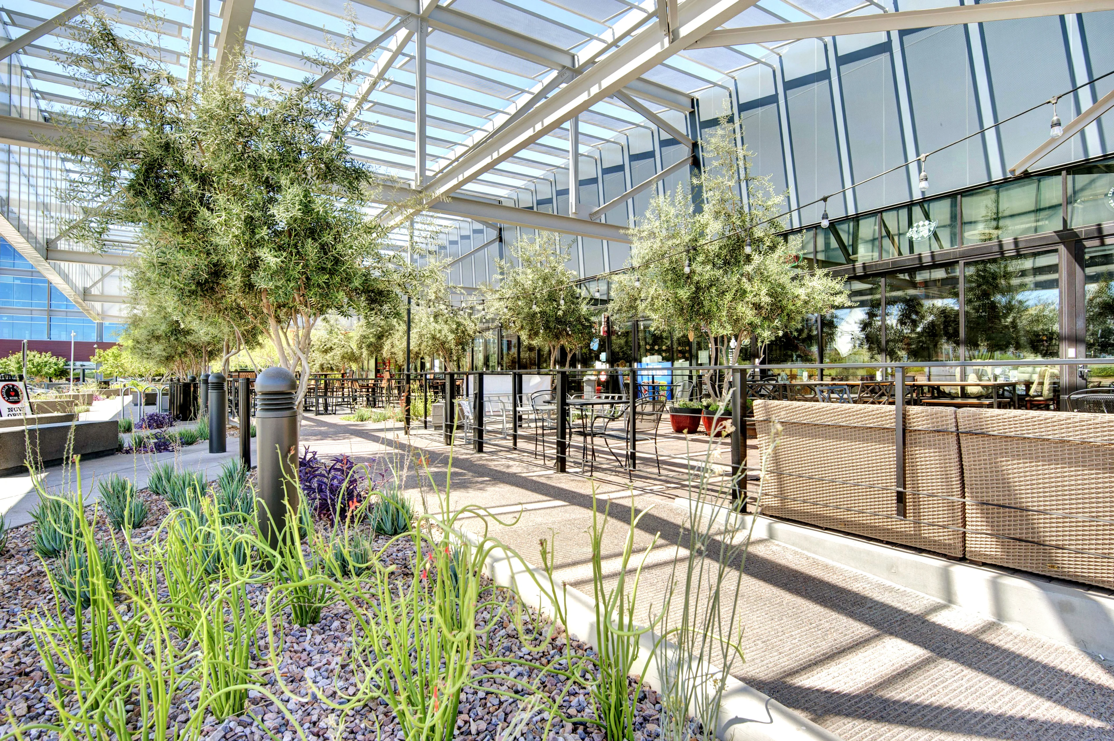 1455 N Scottsdale Rd