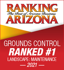 Ranking Arizona Landscape Maintenance Ranked #1