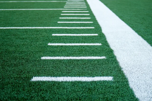 Synthetic Turf