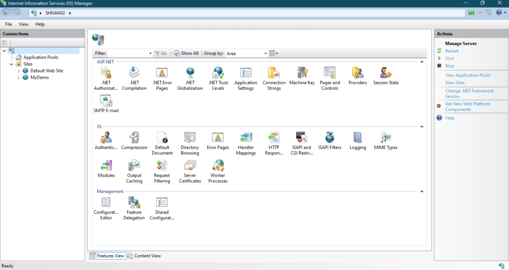 Setting up IIS Server