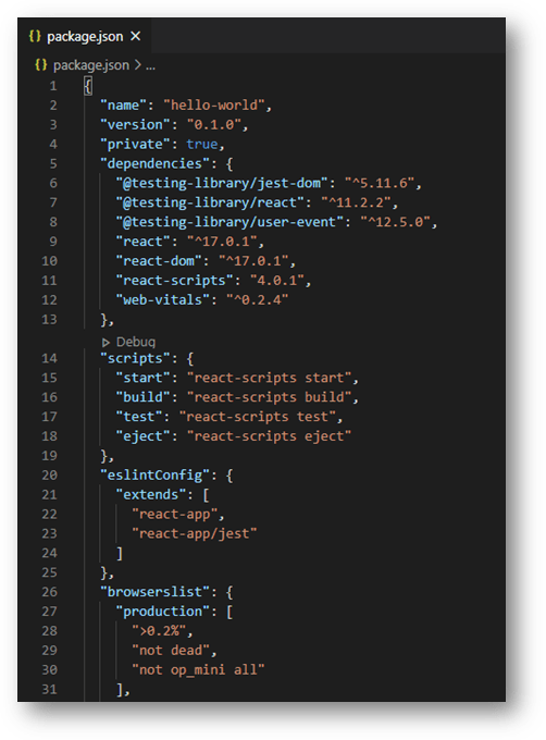 package.json