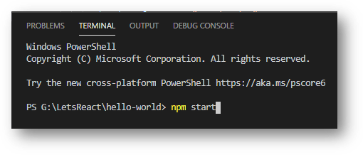 running the project