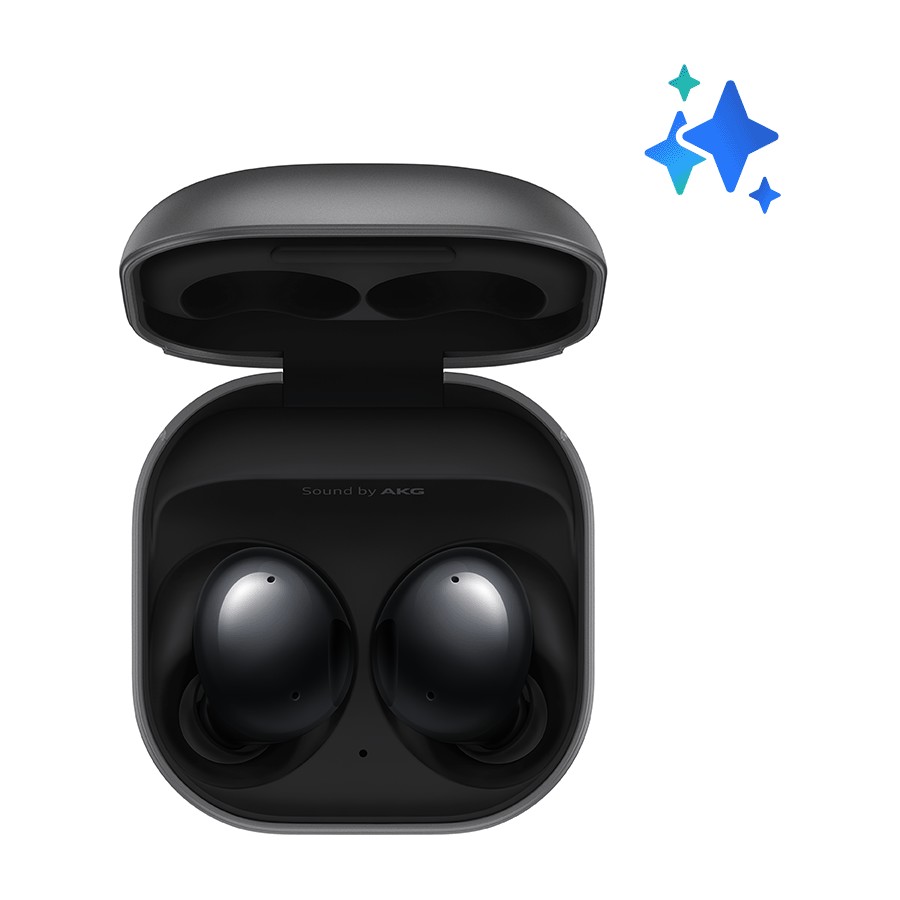 Galaxy Buds2 Black