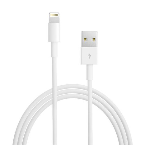 Lightning To Usb Cable white