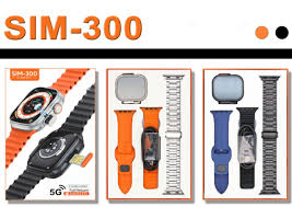 SIM 300