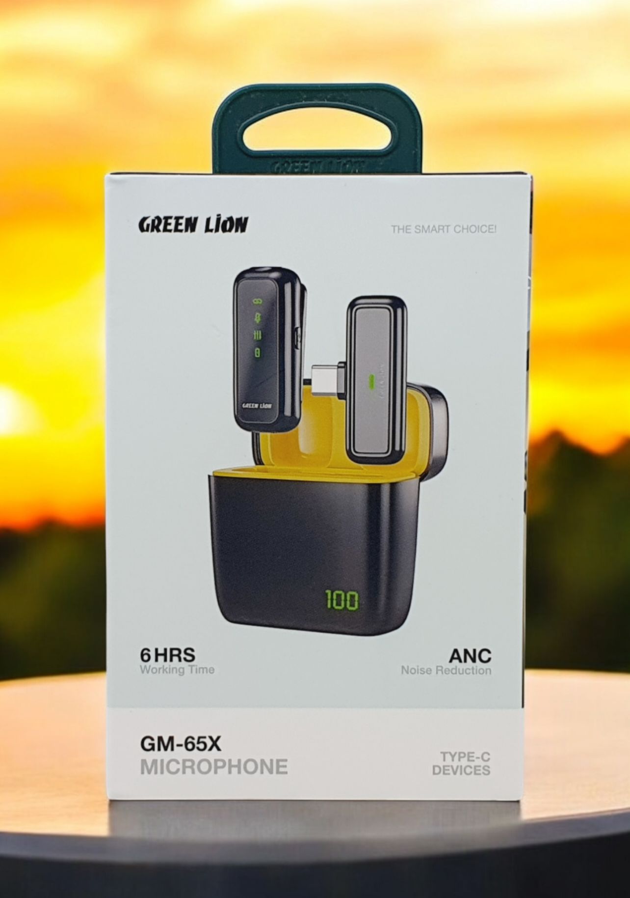 Green Lion Lion GM-65X Mic