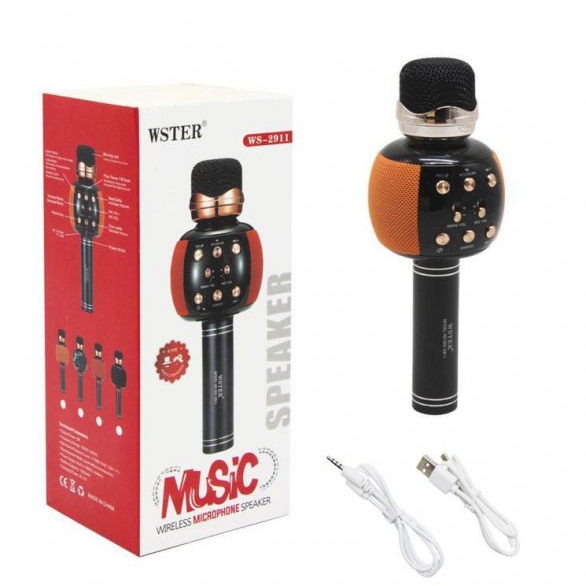 WSTER WS-2911 Simsiz Karaoke Mikrofon