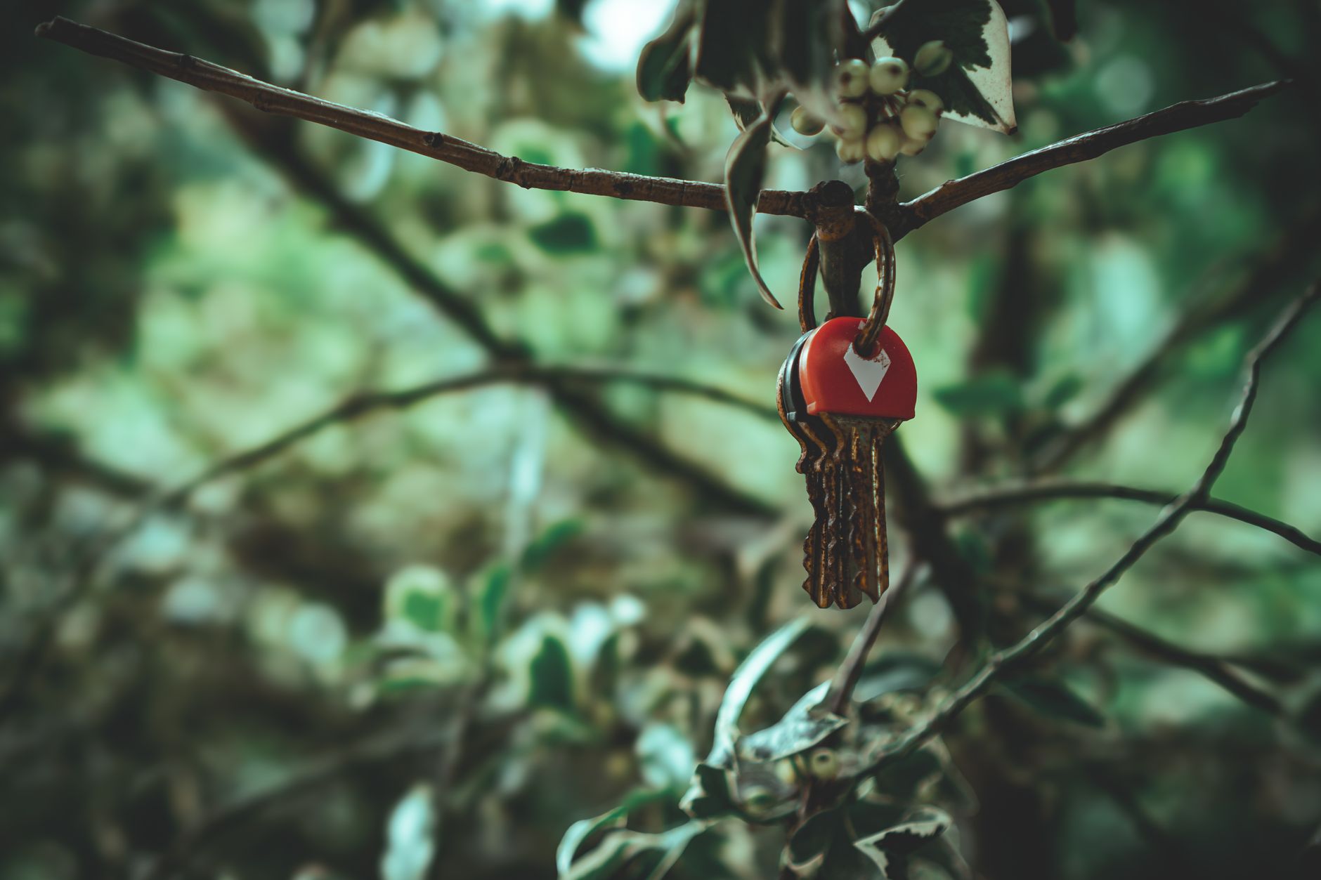 Unlocking Growth: Crafting Effective AI Marketing Strategies with 5T1B