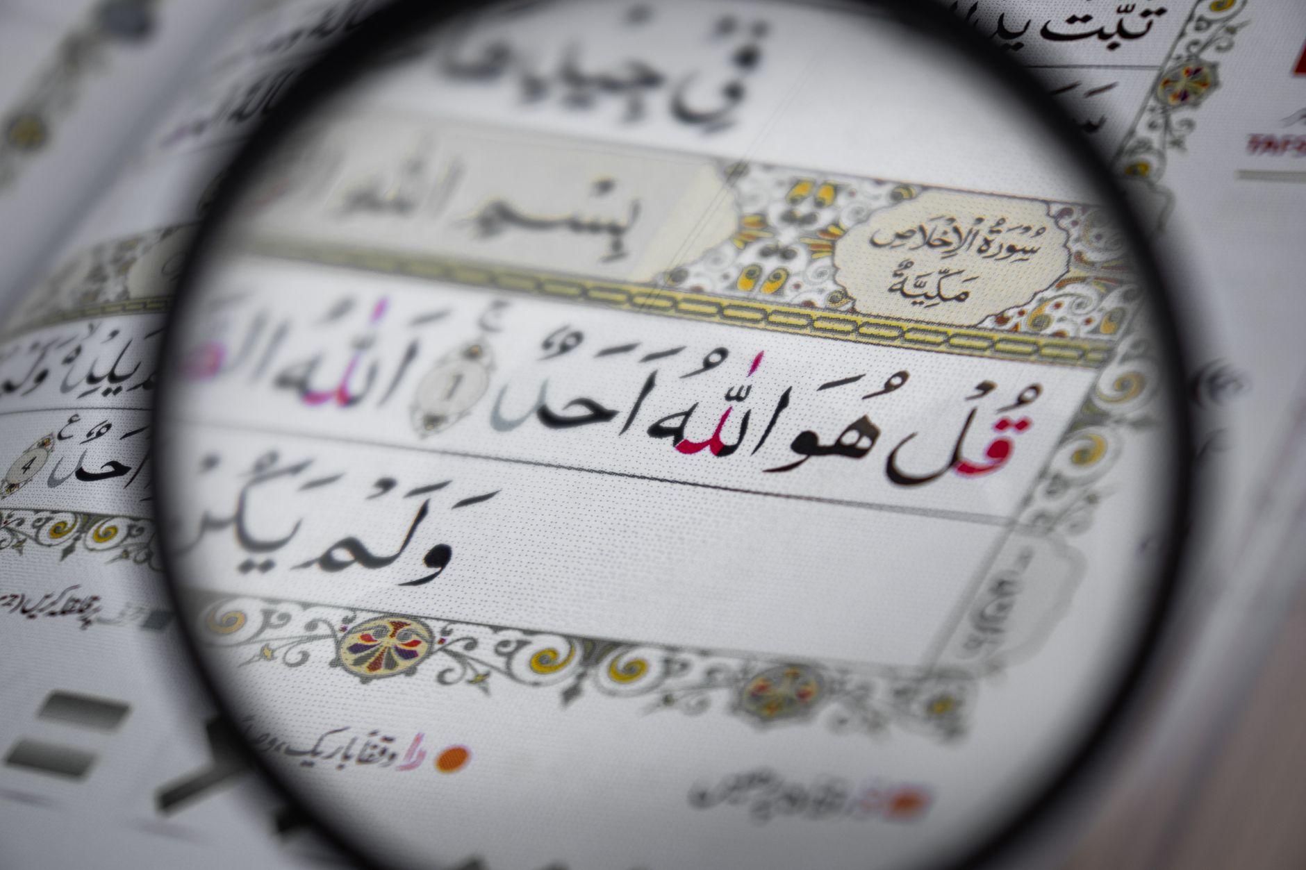 أهمية المدونات المتوافقة مع SEO للشركات الصغيرة والمتوسطة وكيفية التصدر مع 5T1B