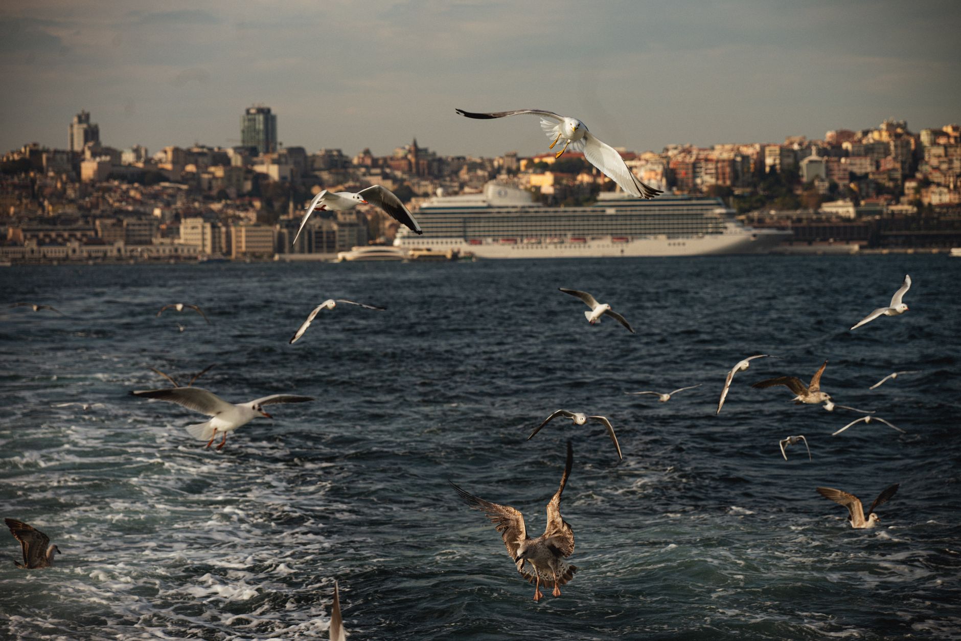Carga Aérea de Turquía al Reino Unido: Soluciones Logísticas Ágiles para Exportadores y Vendedores F