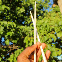 Best Meals Ever. Browse Now! Order Now!! Chop Chop