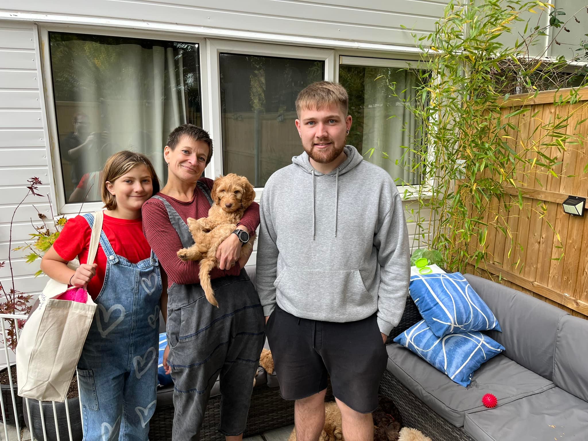 Standard Labradoodle Puppies