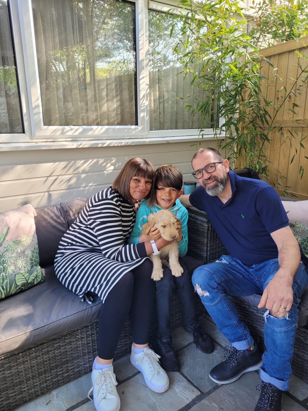 Standard Labradoodle Puppies