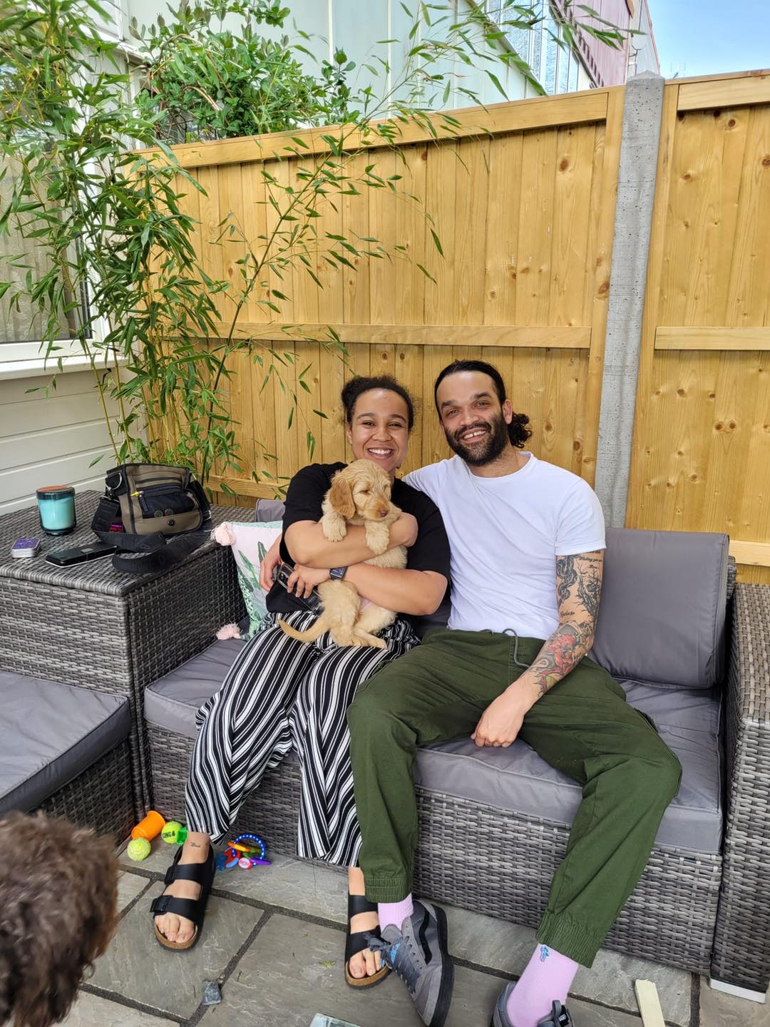 Standard Labradoodle Puppies