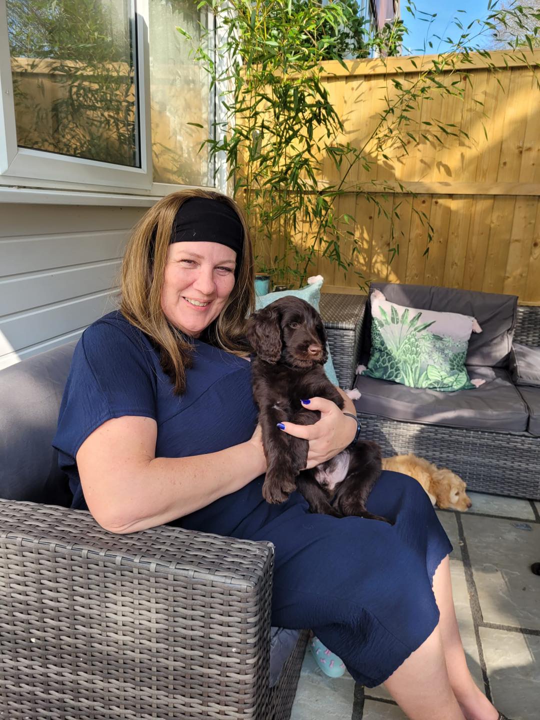 Standard Labradoodle Puppies