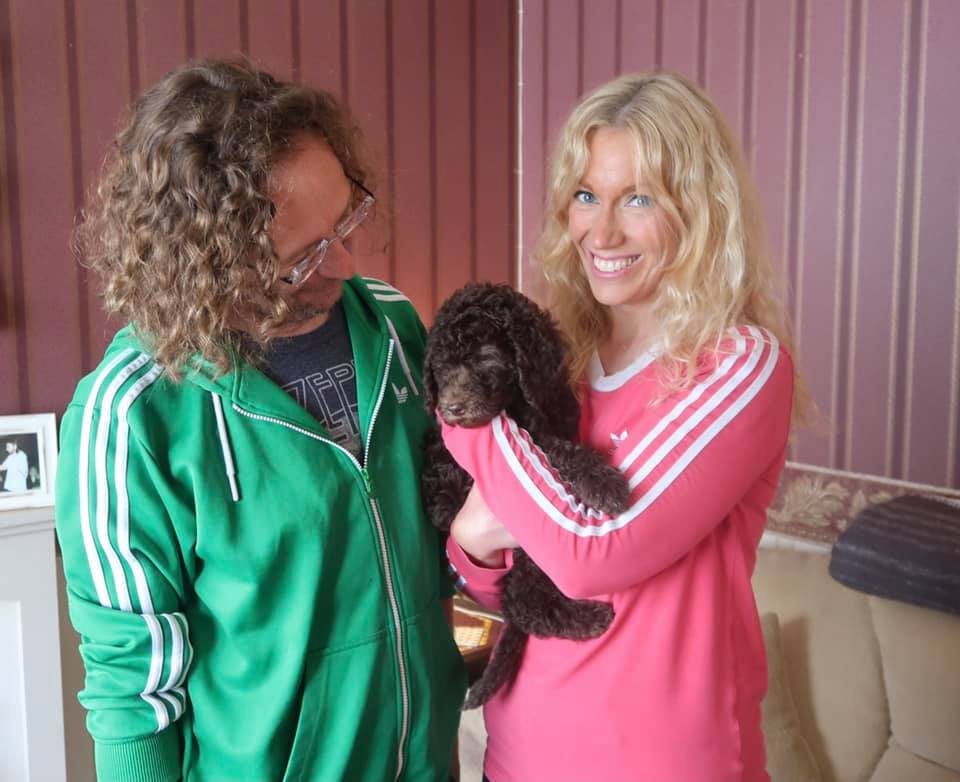 Standard Labradoodle Puppies