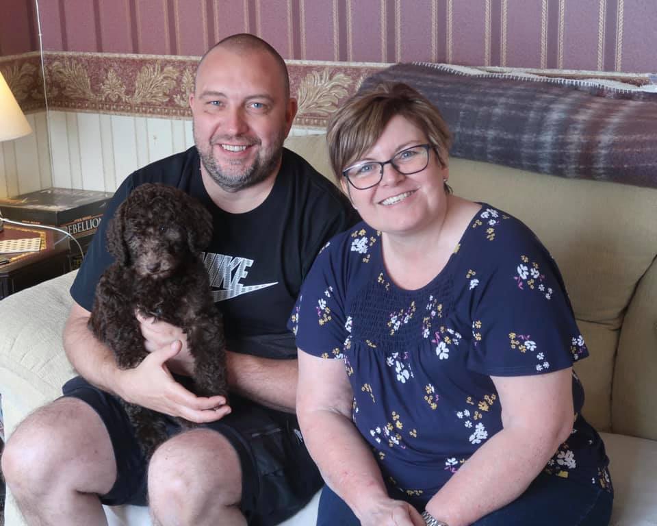 Standard Labradoodle Puppies