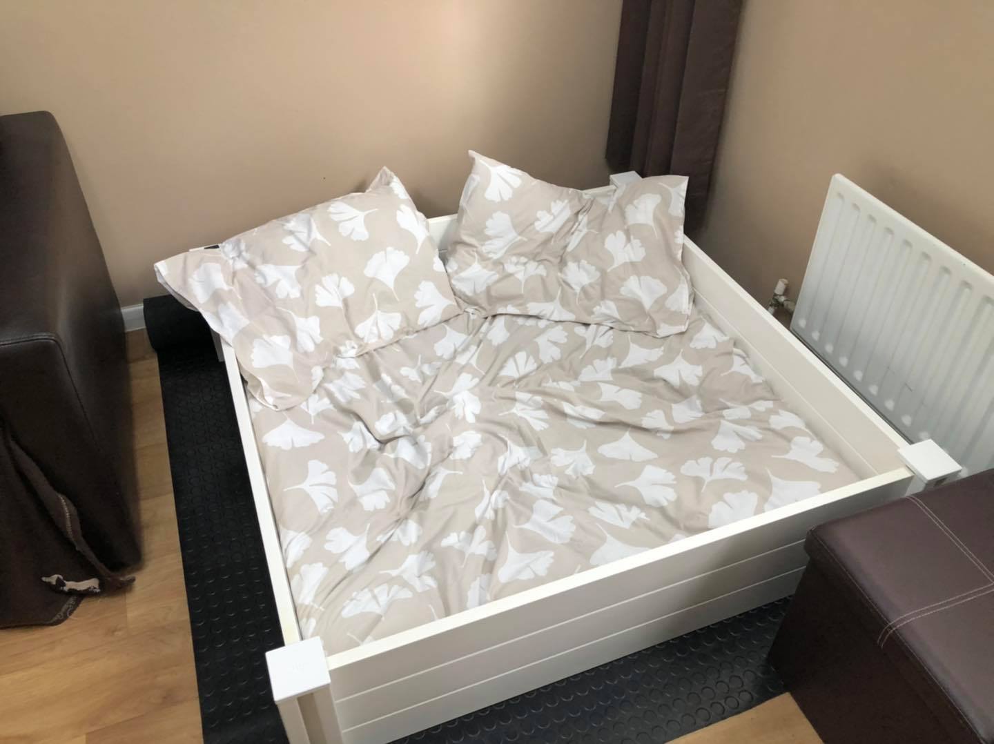 Standard Labradoodle Puppies